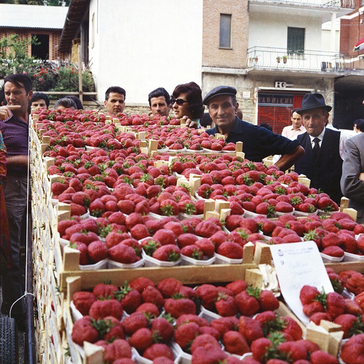 Mercato fragole 720