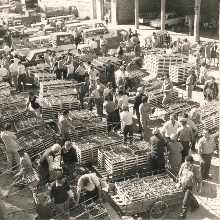 Vista sul mercato 2-720